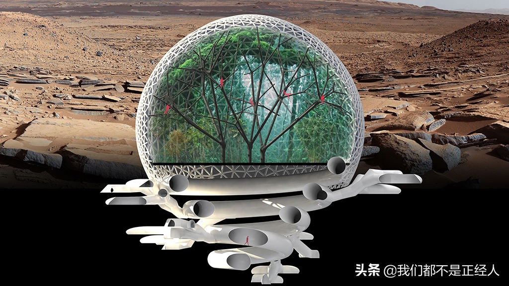 火星搭建网站星手机