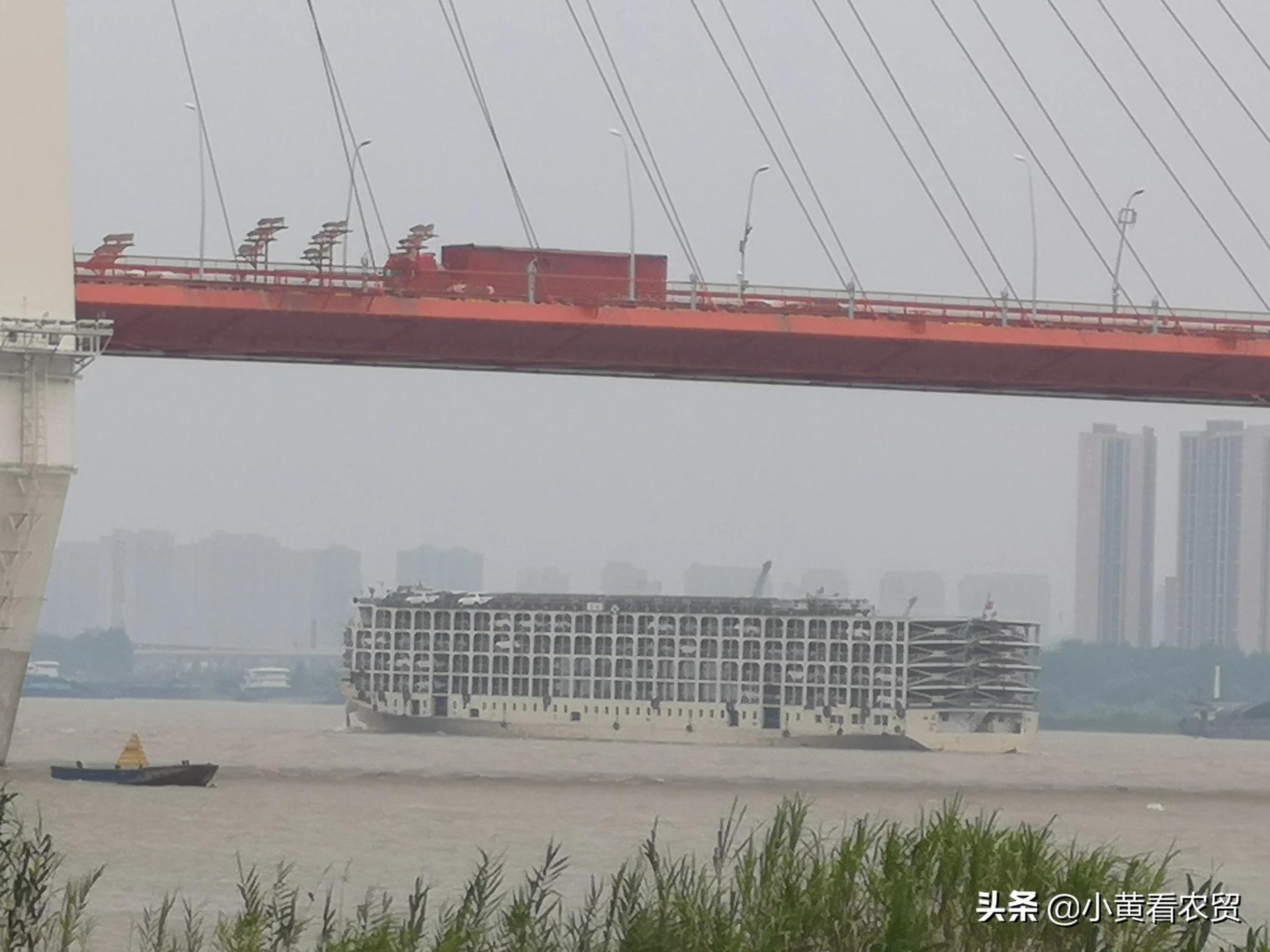 武汉网站排名优化公司,武汉财优化法务公司可靠吗?