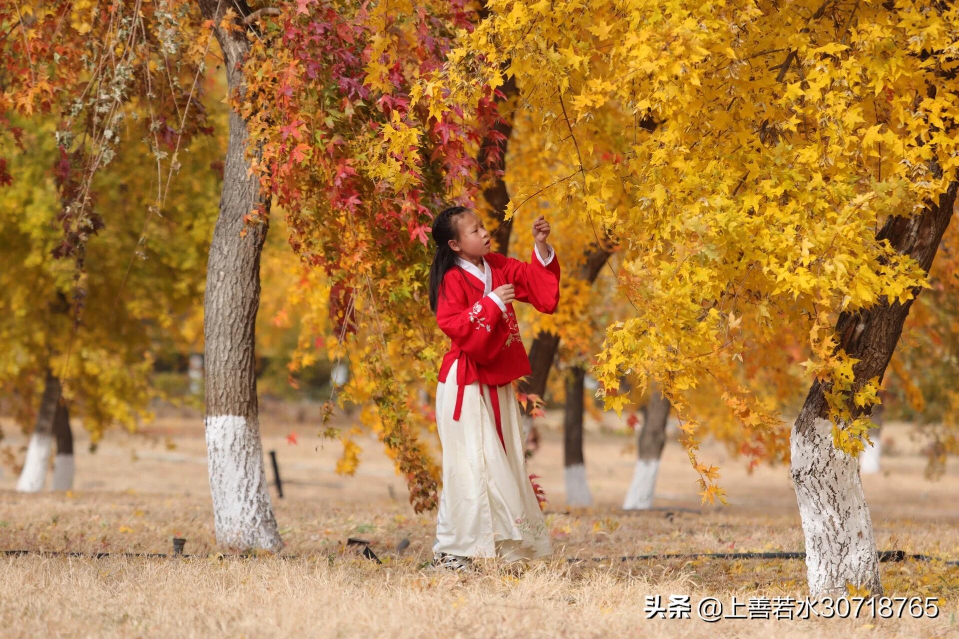 搜麻豆搜麻豆传媒免费高清日B视频 搜麻豆搜麻豆传媒免费高清日B视频