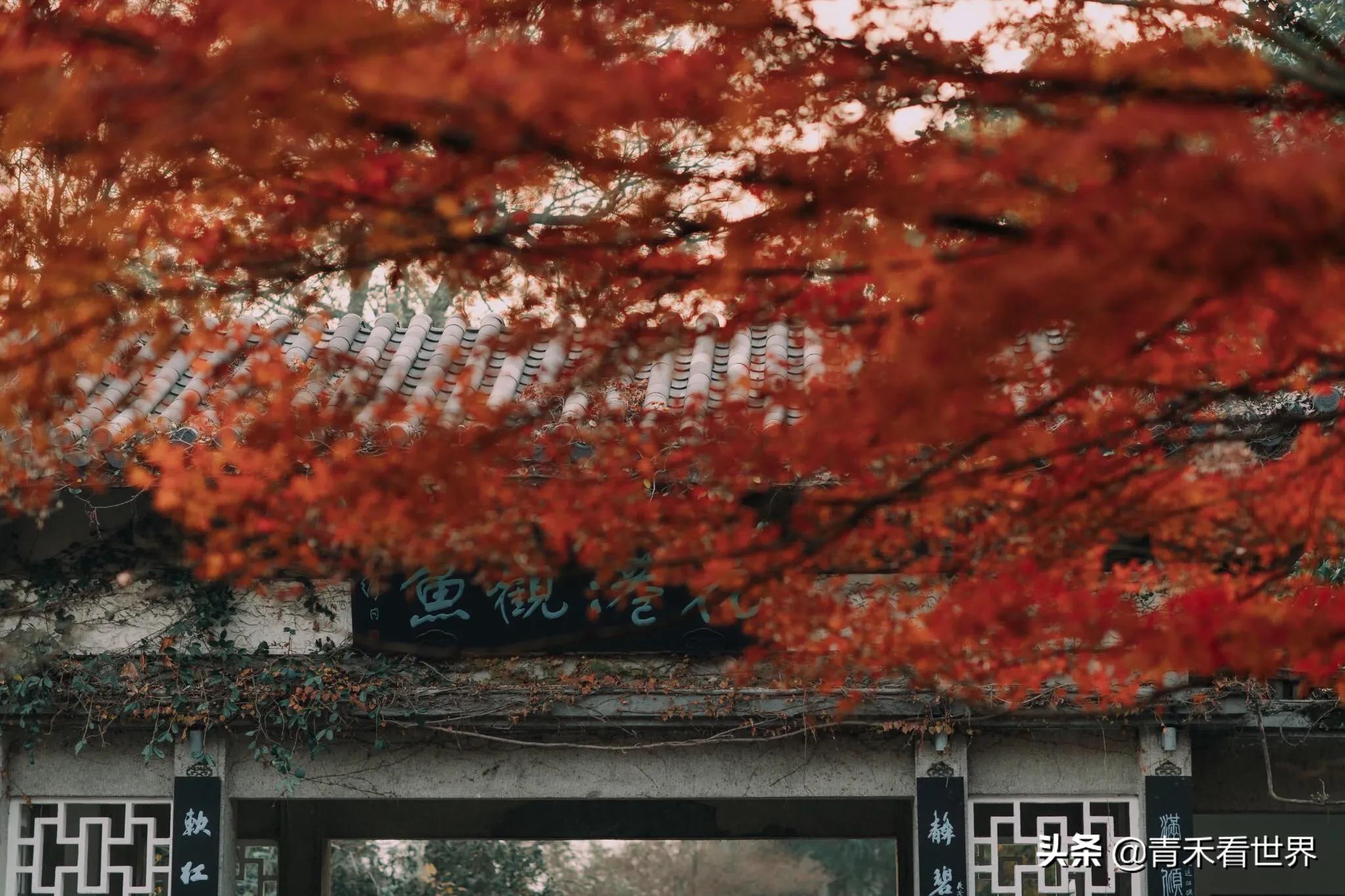 杭州市区有什么好玩的？
