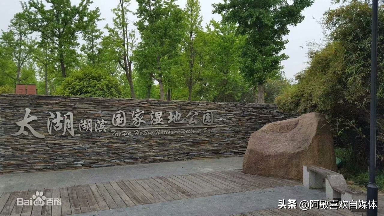 苏州市鸟是什么鸟 苏州市鸟是什么鸟