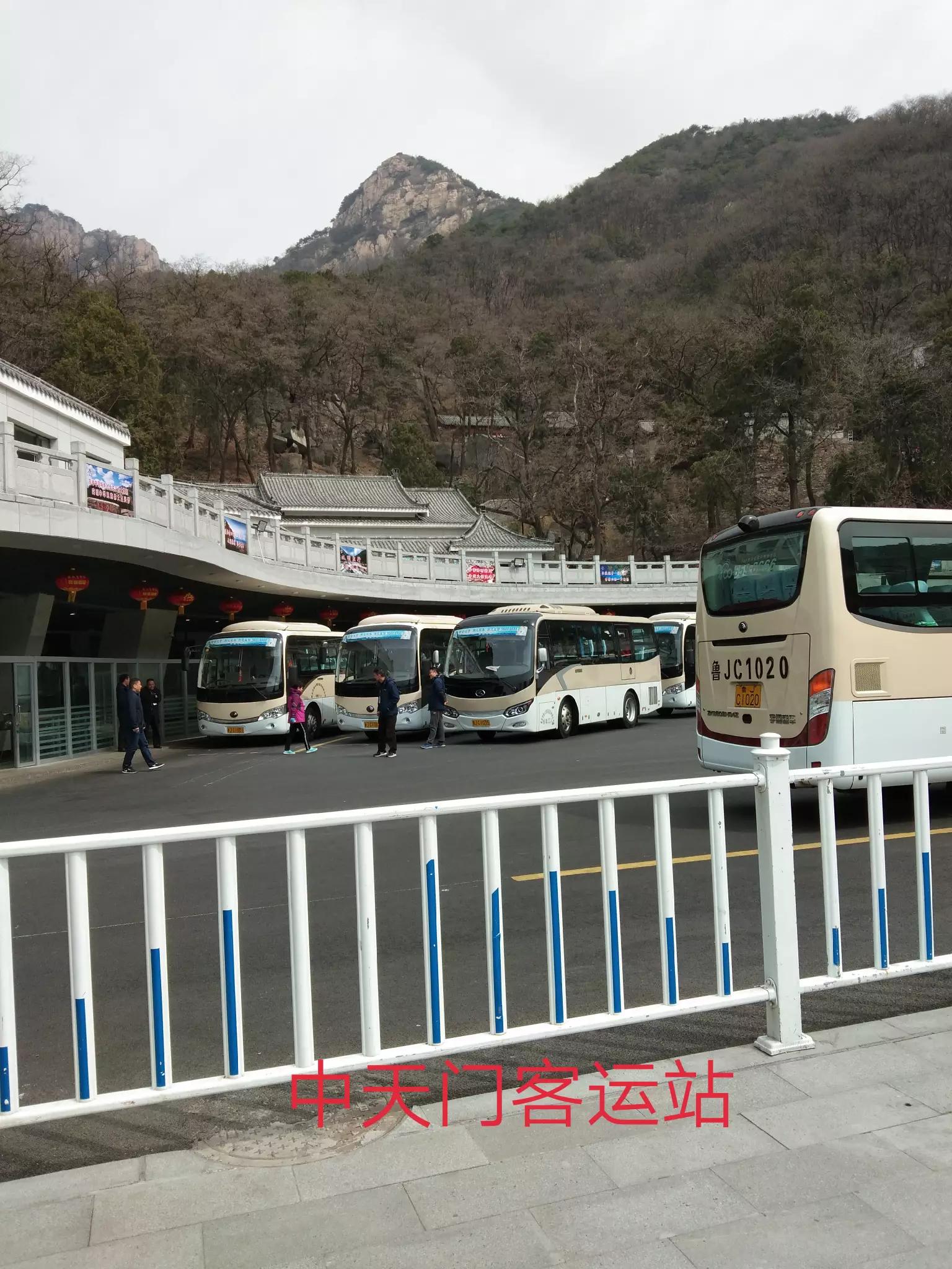 大连市驾管处在什么位置
