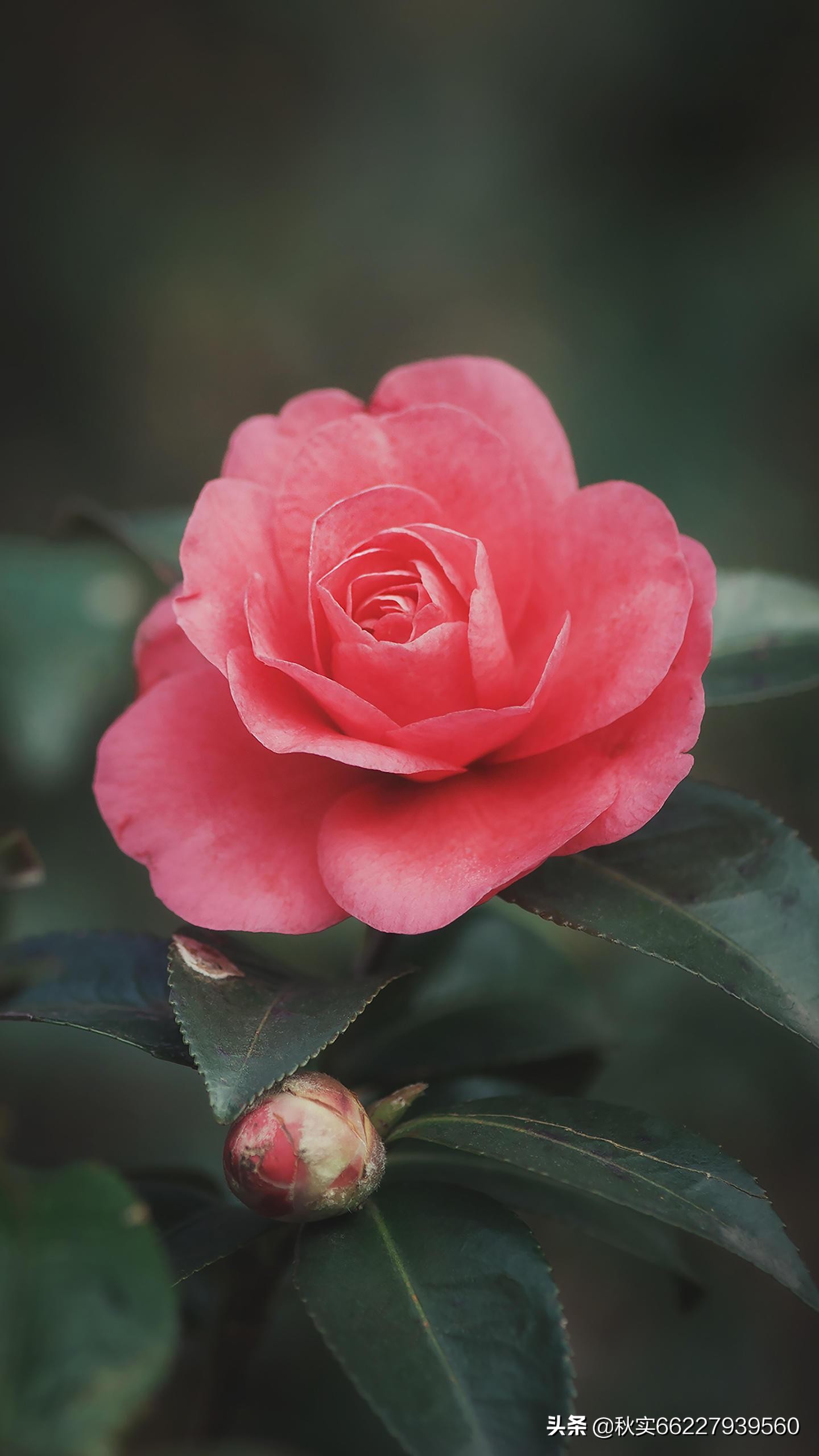 单身女性海外生活视频，单身女性海外生活视频在线观看
