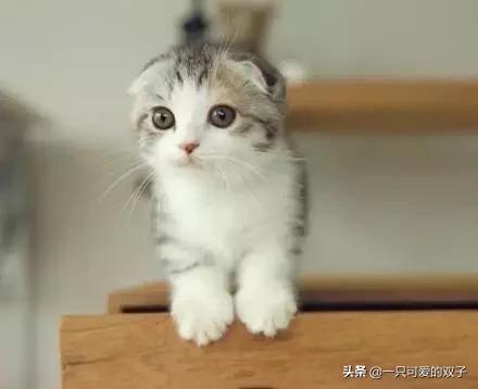 离我最近的保险公司，离我最近的保险公司营业厅