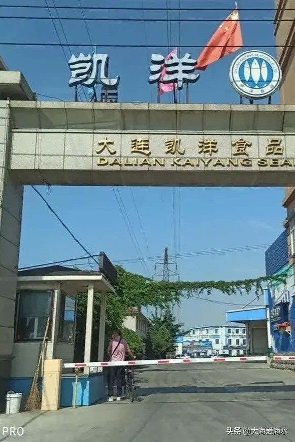 大连市今天疫情什么样