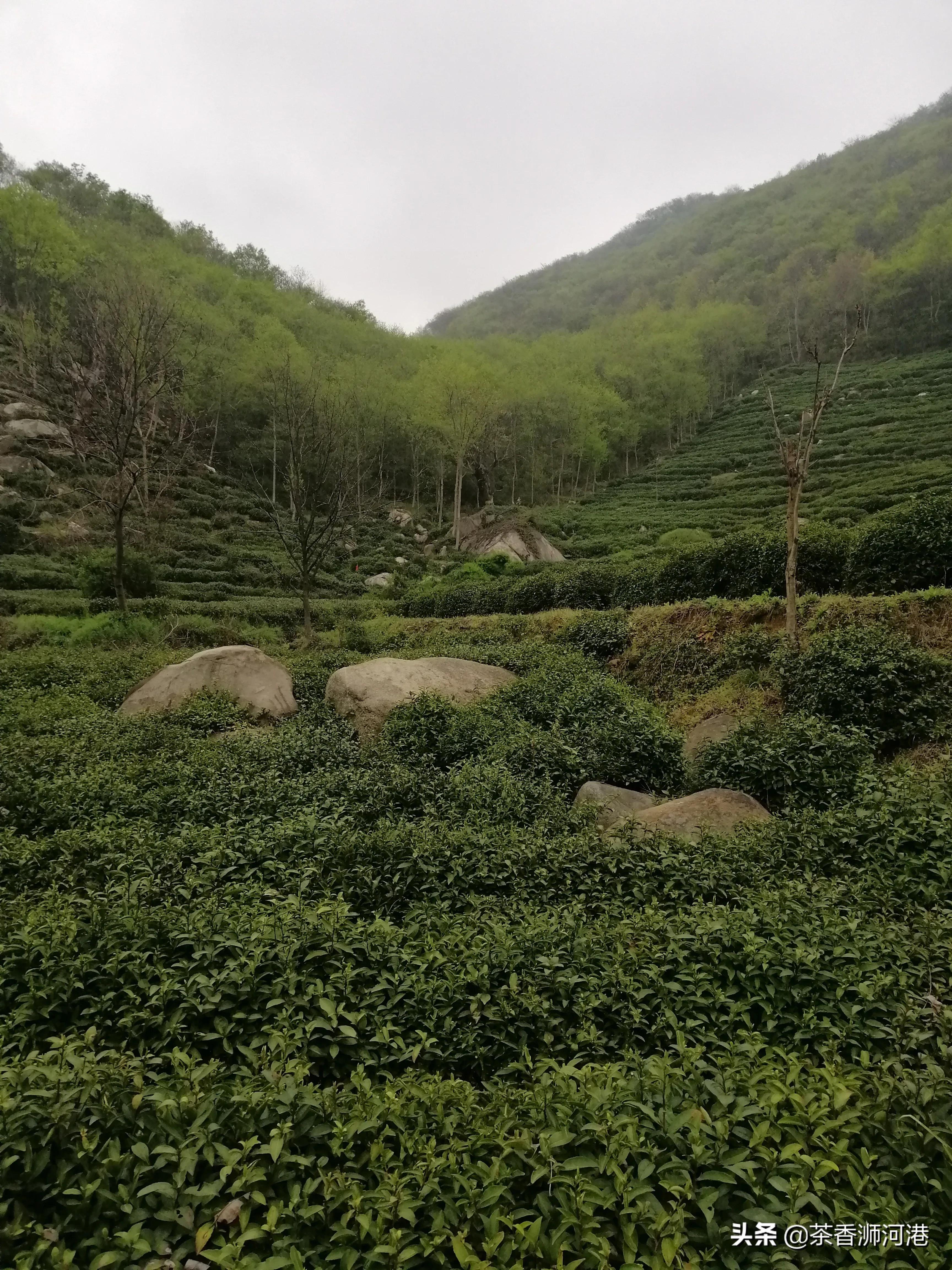 河南哪个村买房好点