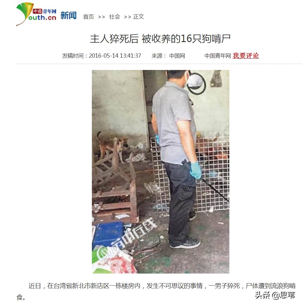 如何看待主人猝死被狗啃尸，下体内脏脑浆被狗分食？：男童被犬只撕咬下体