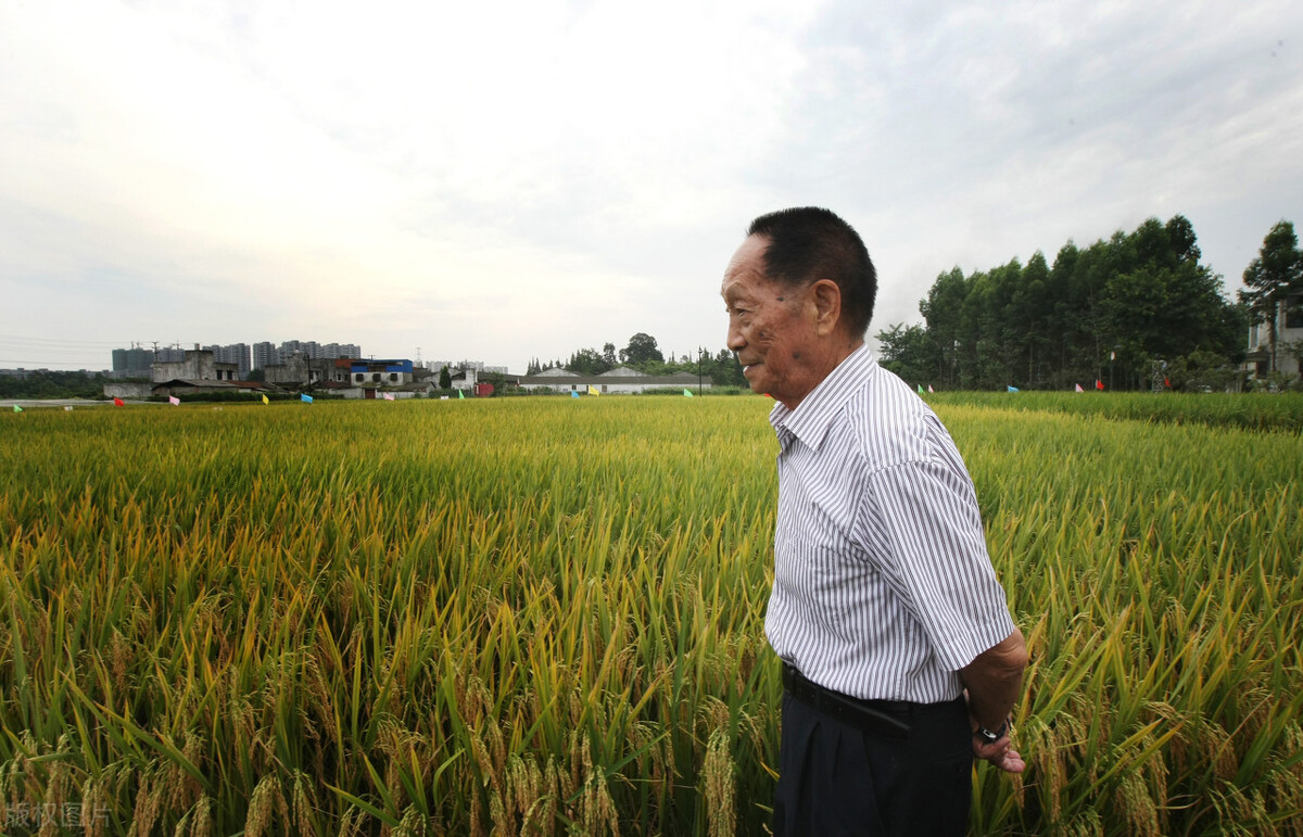 川农和河南农大哪个好