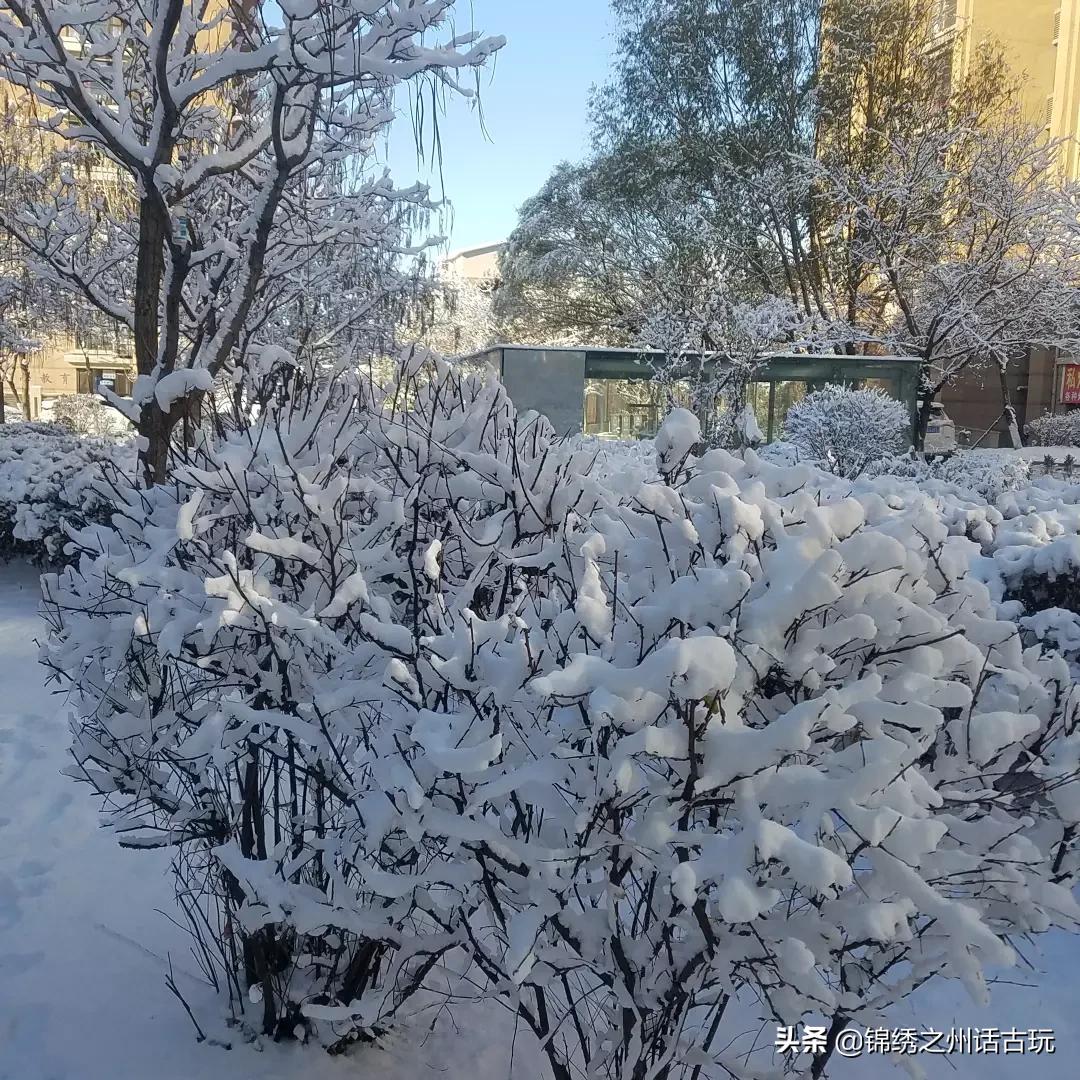[全国多地突降大雪]临沂突降大雪文案？