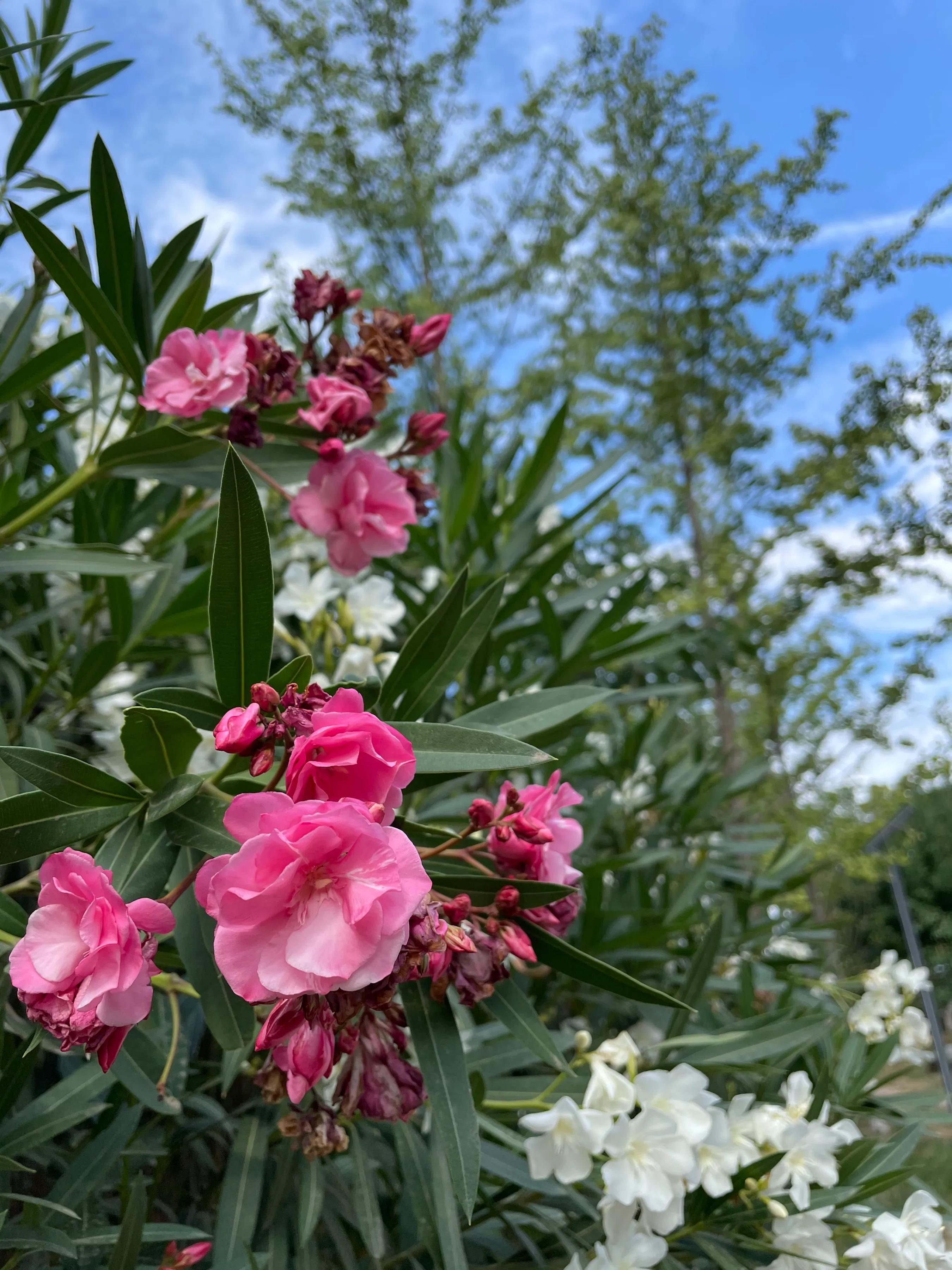 湖北考生作弊内幕曝光，为什么大家会更加愤怒？