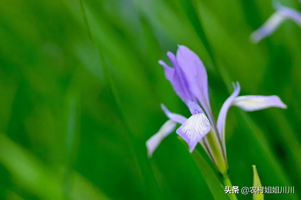 武汉市是什么风险级别