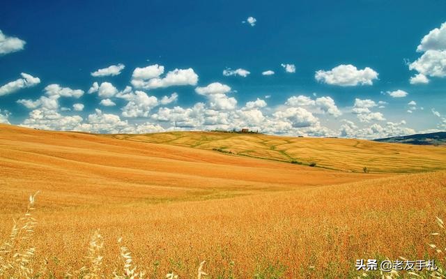 如何安慰如何安慰失去亲人的人简单话语 如何安慰如何安慰失去亲人的人简单话语