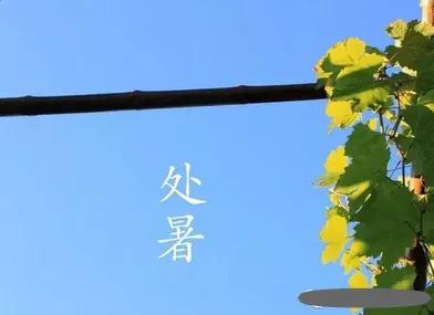 今天是处暑的祝福词？：今天处暑