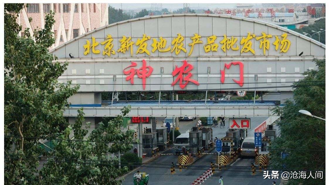 大连市4例在哪个区报告
