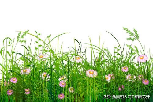 小日常（小日常什么意思？）