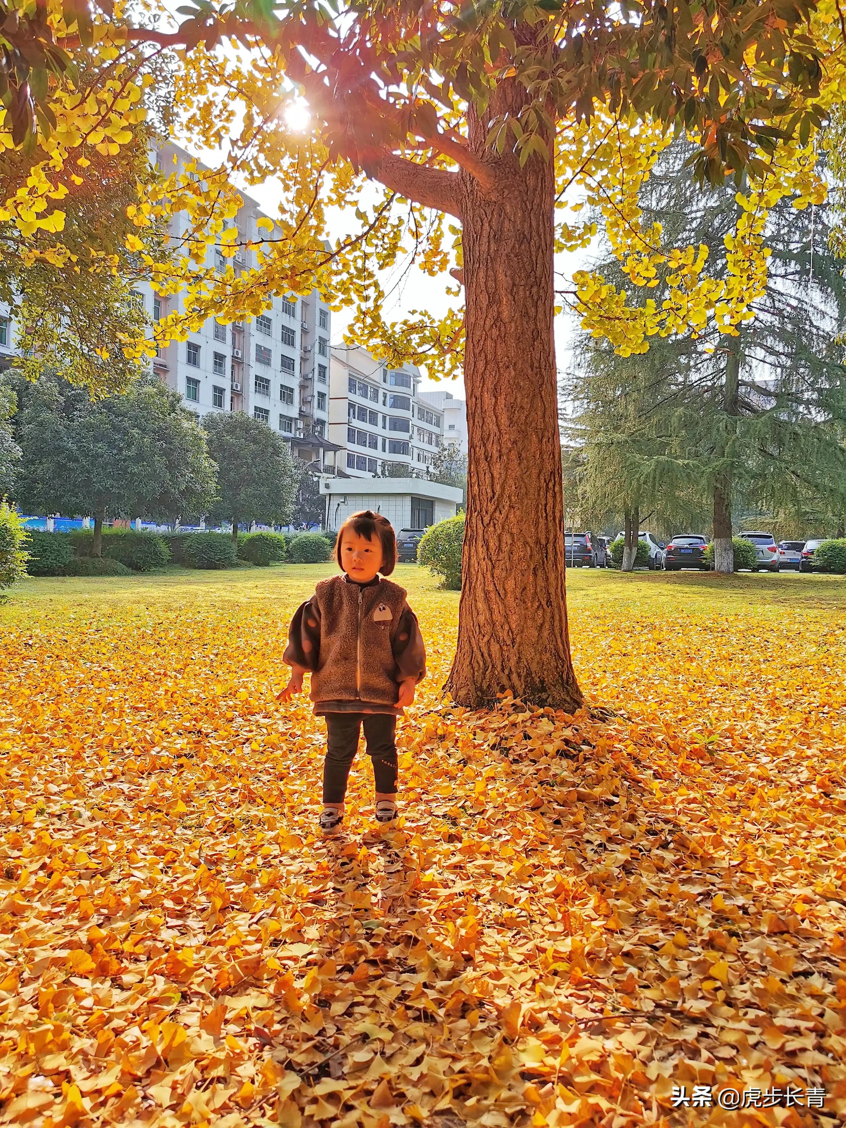 智能图像创作中心网站官网,请问大家写头条都在哪里找的图片呀?