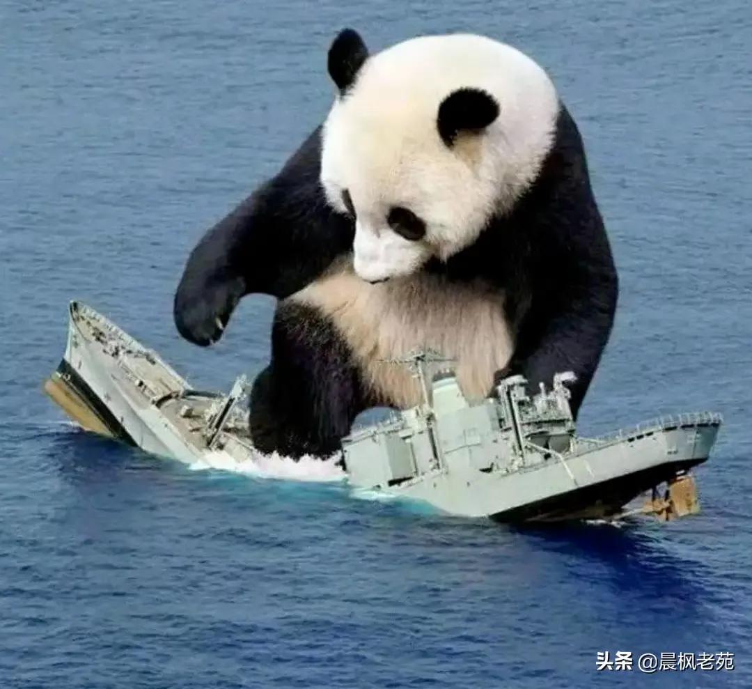 中国妇女海外生活现状调查，中国妇女海外生活现状调查报告