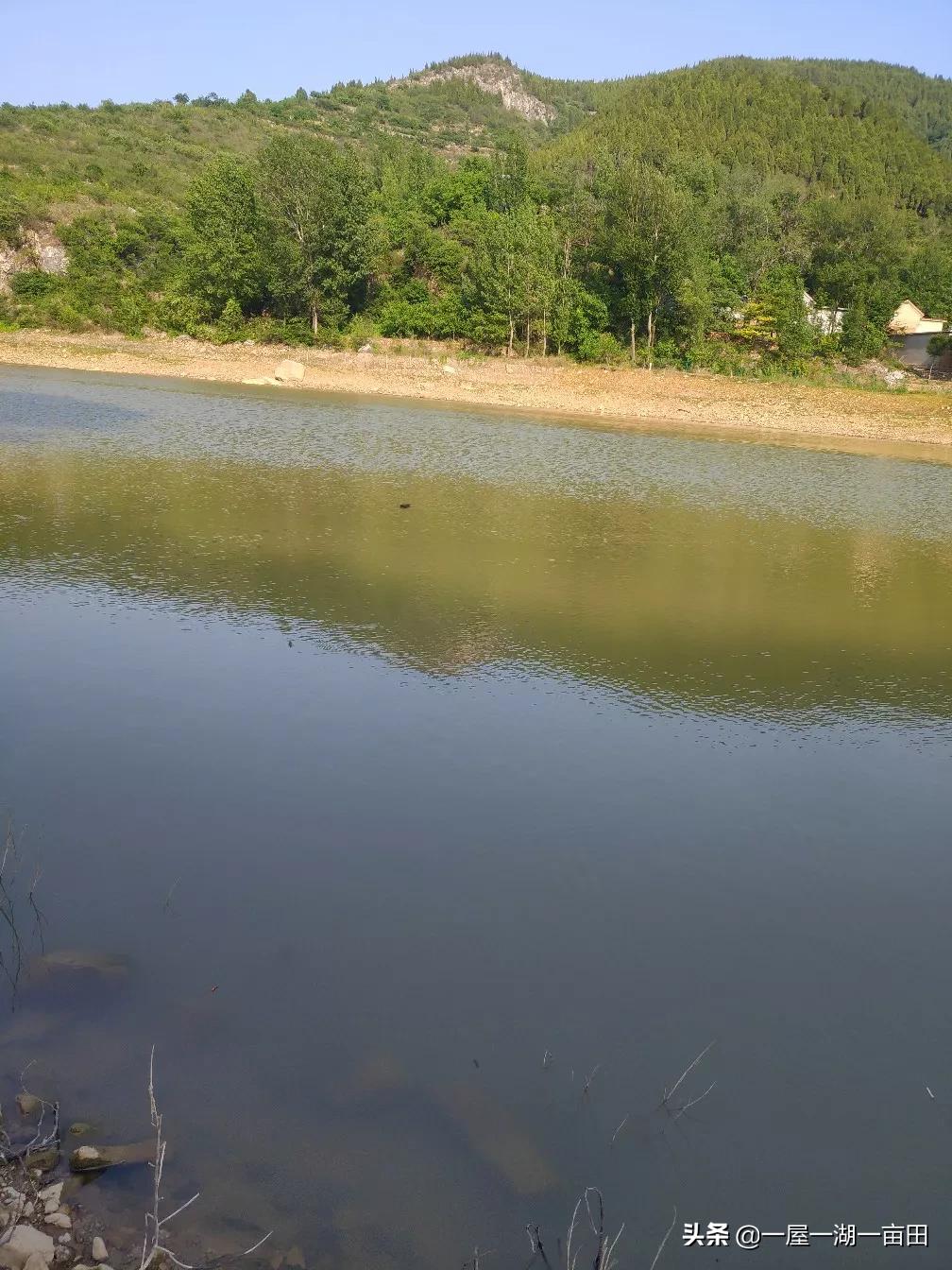 济南市中区去哪里钓鱼的 济南市中区去哪里钓鱼的