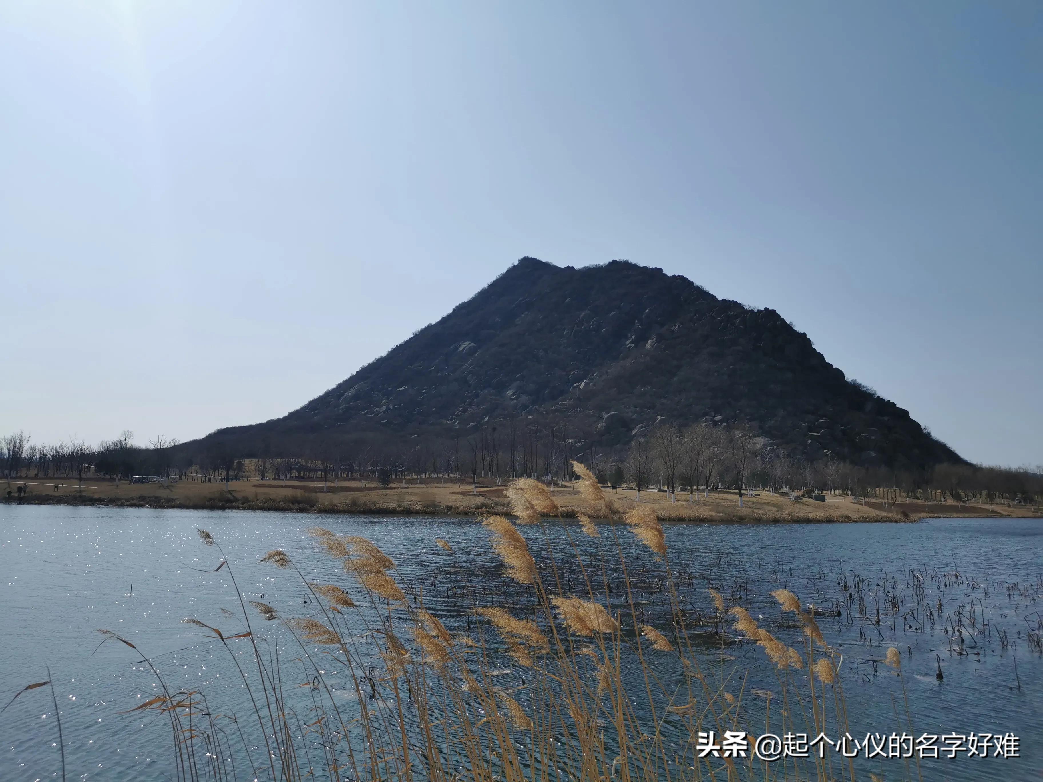 济南app系统开发合同