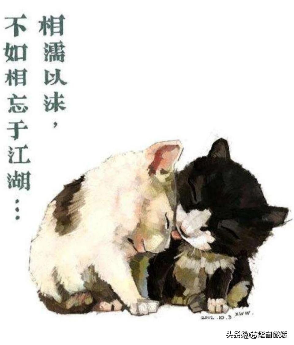 一言不合的意思一言不合的意思解释 一言不合的意思一言不合的意思解释