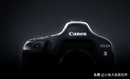 照相机（二手相机主要用来日常拍照和游玩拍照。预算2000左右。最好全画幅，有什么推荐吗？）