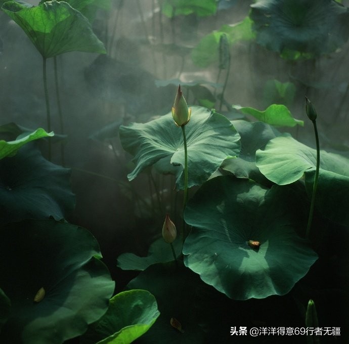 帅哥海外生活图片高清大全，帅哥海外生活图片高清大全视频
