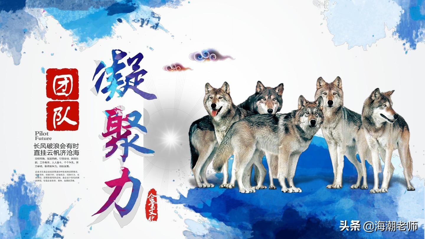 组建团队组建团队三原则是指什么 组建团队组建团队三原则是指什么