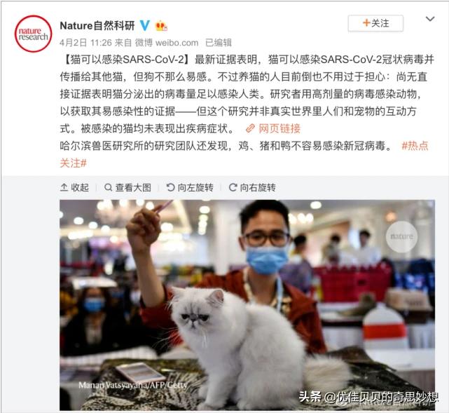 武汉市是什么动物
