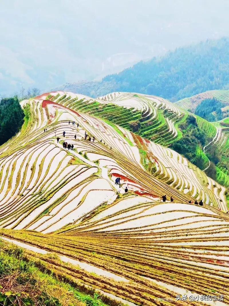 暑假带小孩去桂林怎么玩？