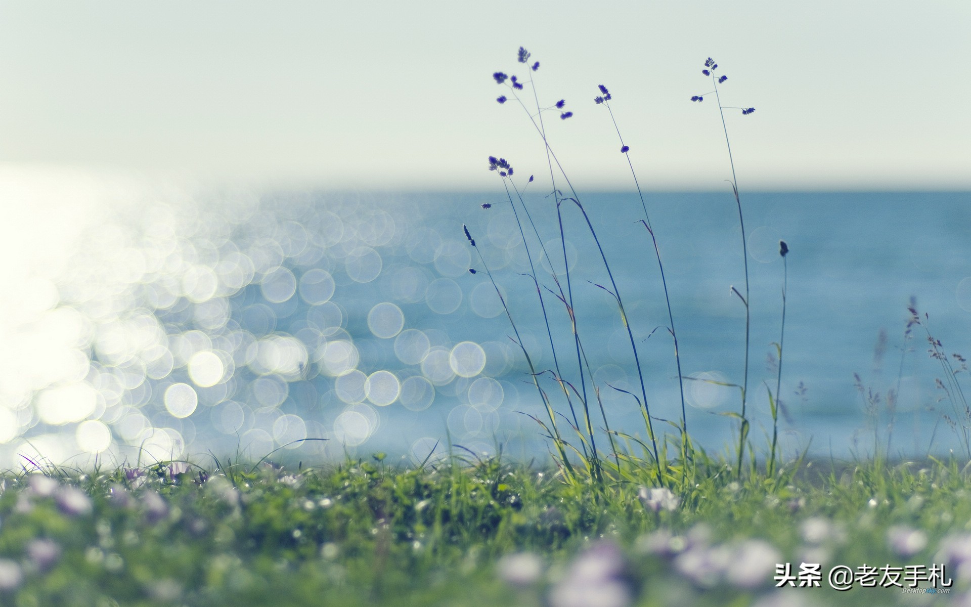 如何安慰如何安慰失去亲人的人简单话语