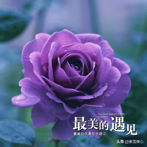 难得遇见(难得遇到一次是什么意思?) 难得遇见(难得遇到一次是什么意思?)