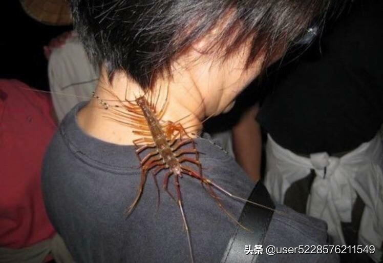 厦门市网约车平台多少个