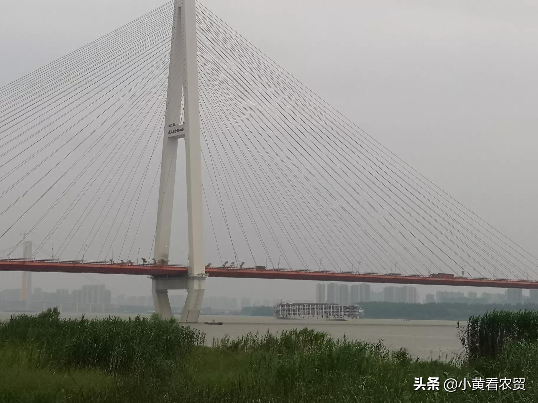 武汉网站排名优化公司,武汉财优化法务公司可靠吗?