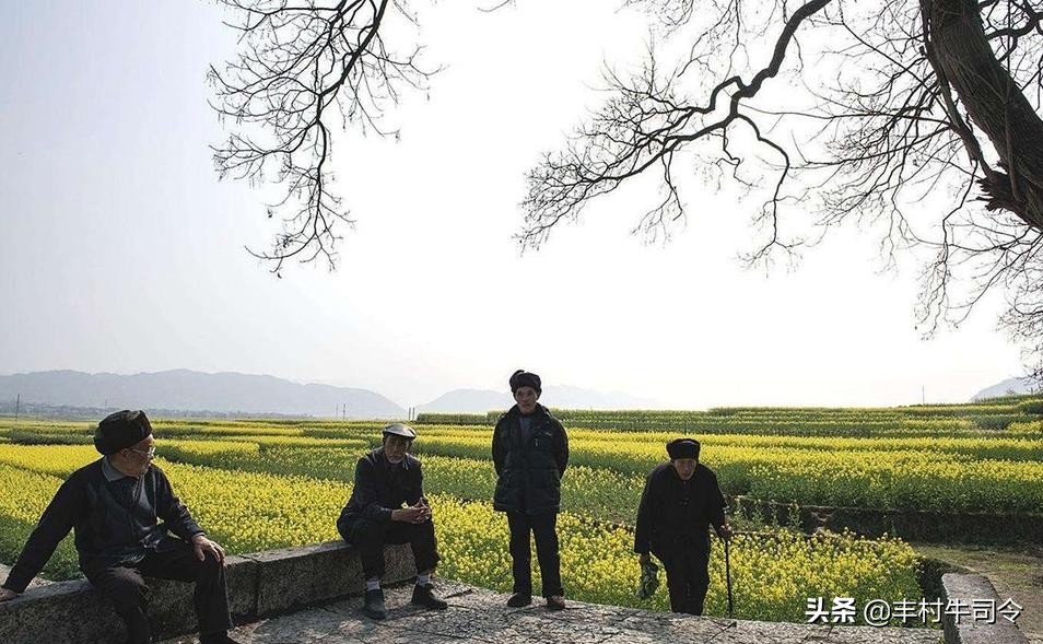 老爸快55岁了怎么买养老保险，父母快60了没有社保怎么办