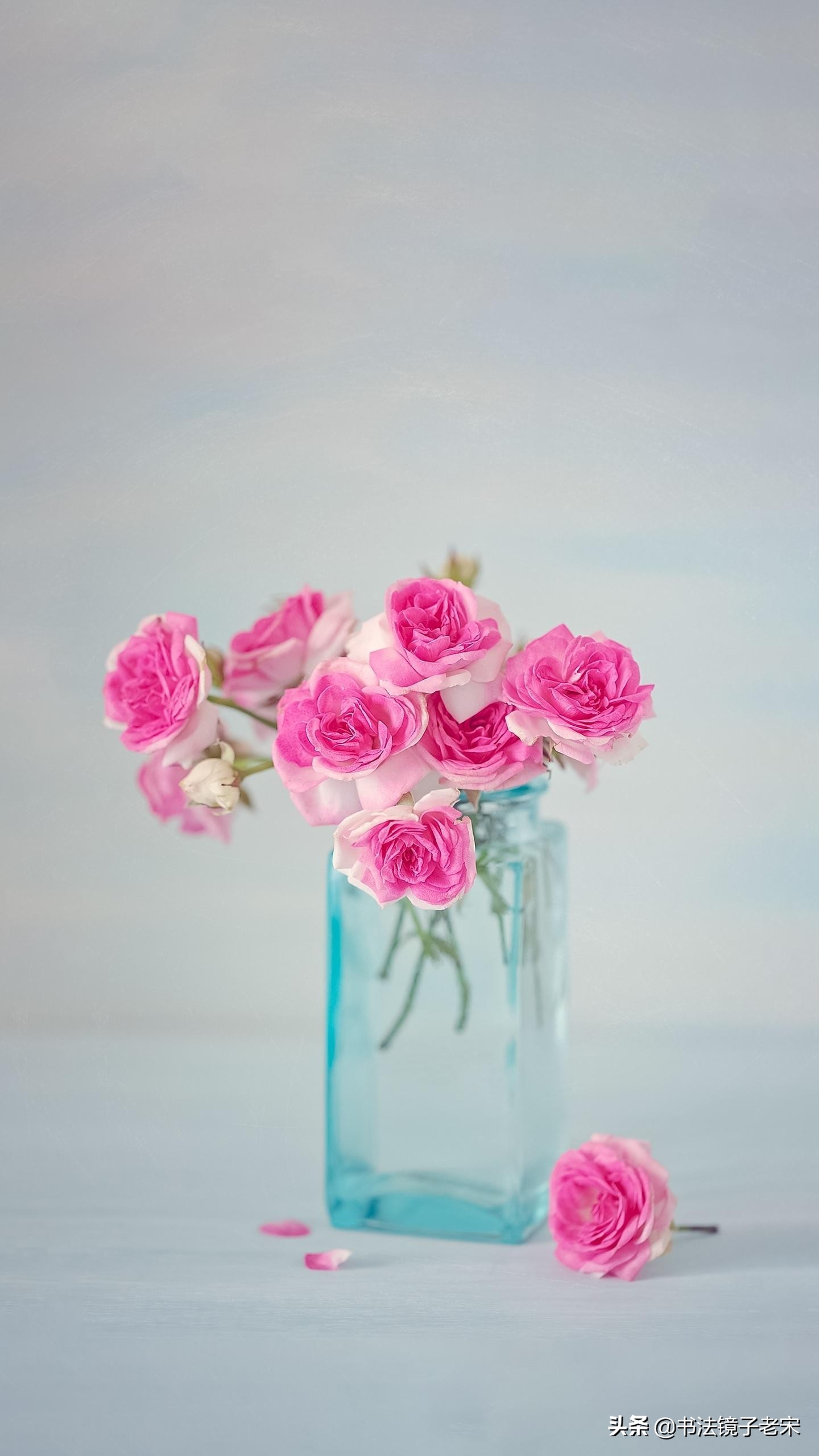 马奥（马奥鱼的做法）