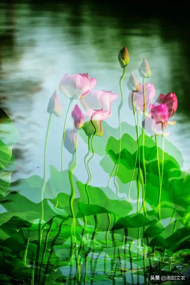 尼康d850（尼康d850深度评测？）