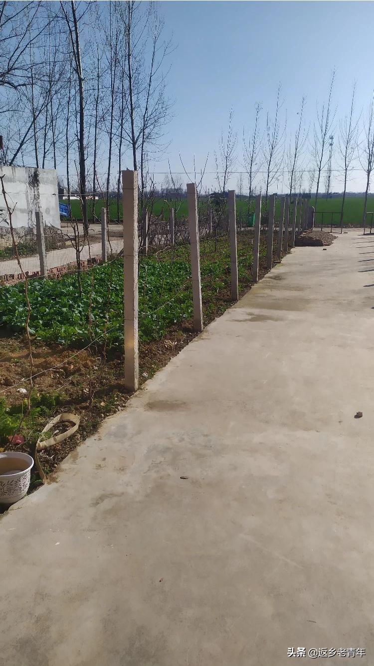 武汉市徐东馨苑是什么区