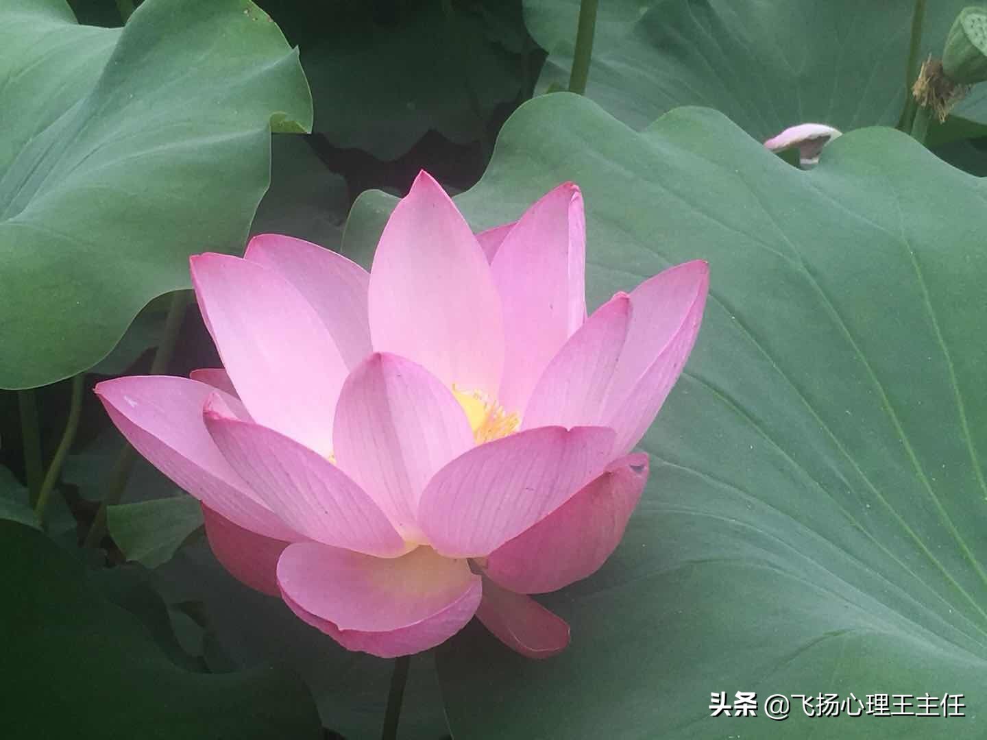 哈尔滨市哪里治抑郁症好