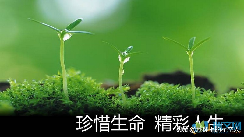 在海外生活需要注意什么，在海外生活需要注意什么问题
