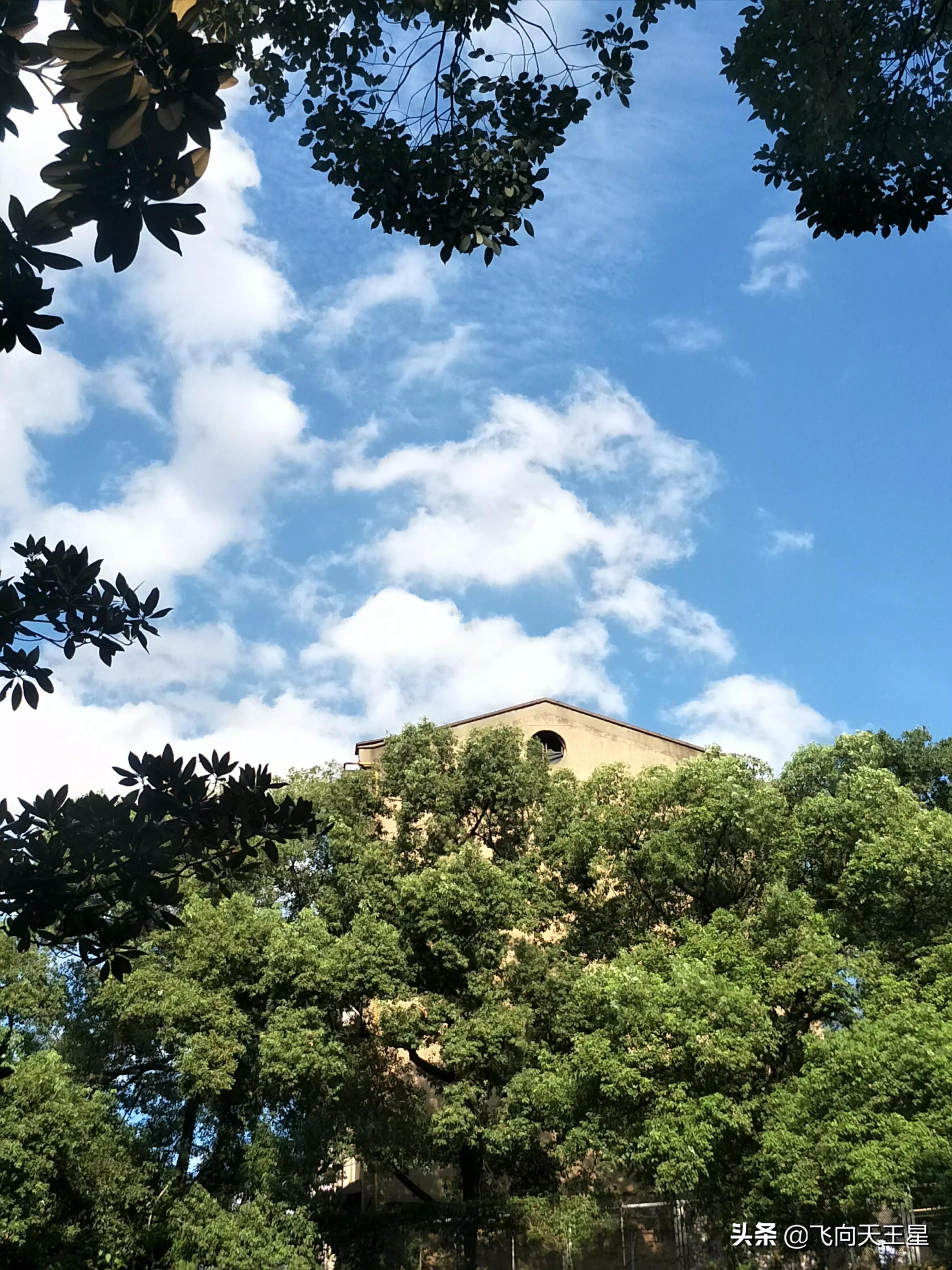 智能图像创作中心网站官网,请问大家写头条都在哪里找的图片呀?