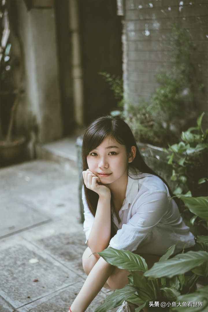 定焦头定焦头和变焦头的区别