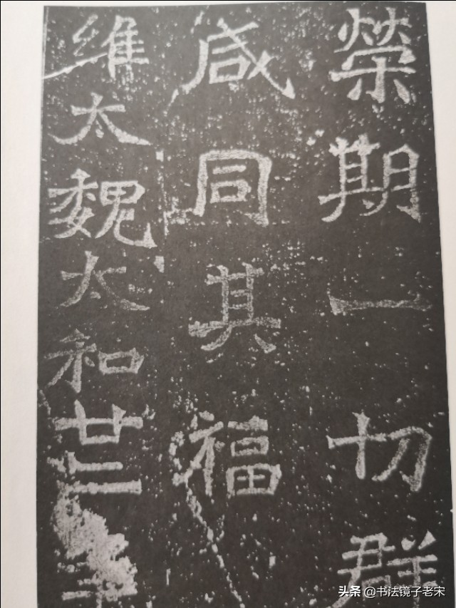 搞笑简单的草书字体大全
