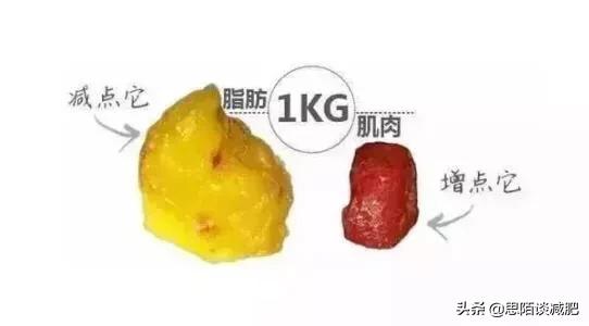 广州健身餐app开发
