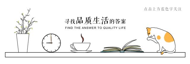 燃气灶和煤气灶有啥区别？：灶具