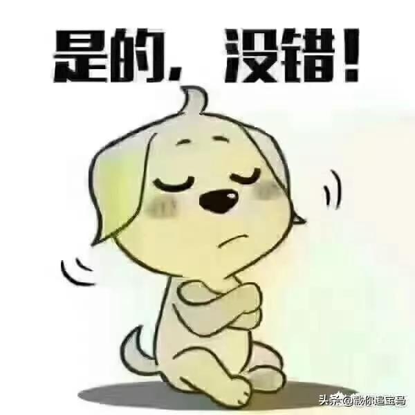 心灵感应少女，心灵感应少女1.0安卓版下载安装