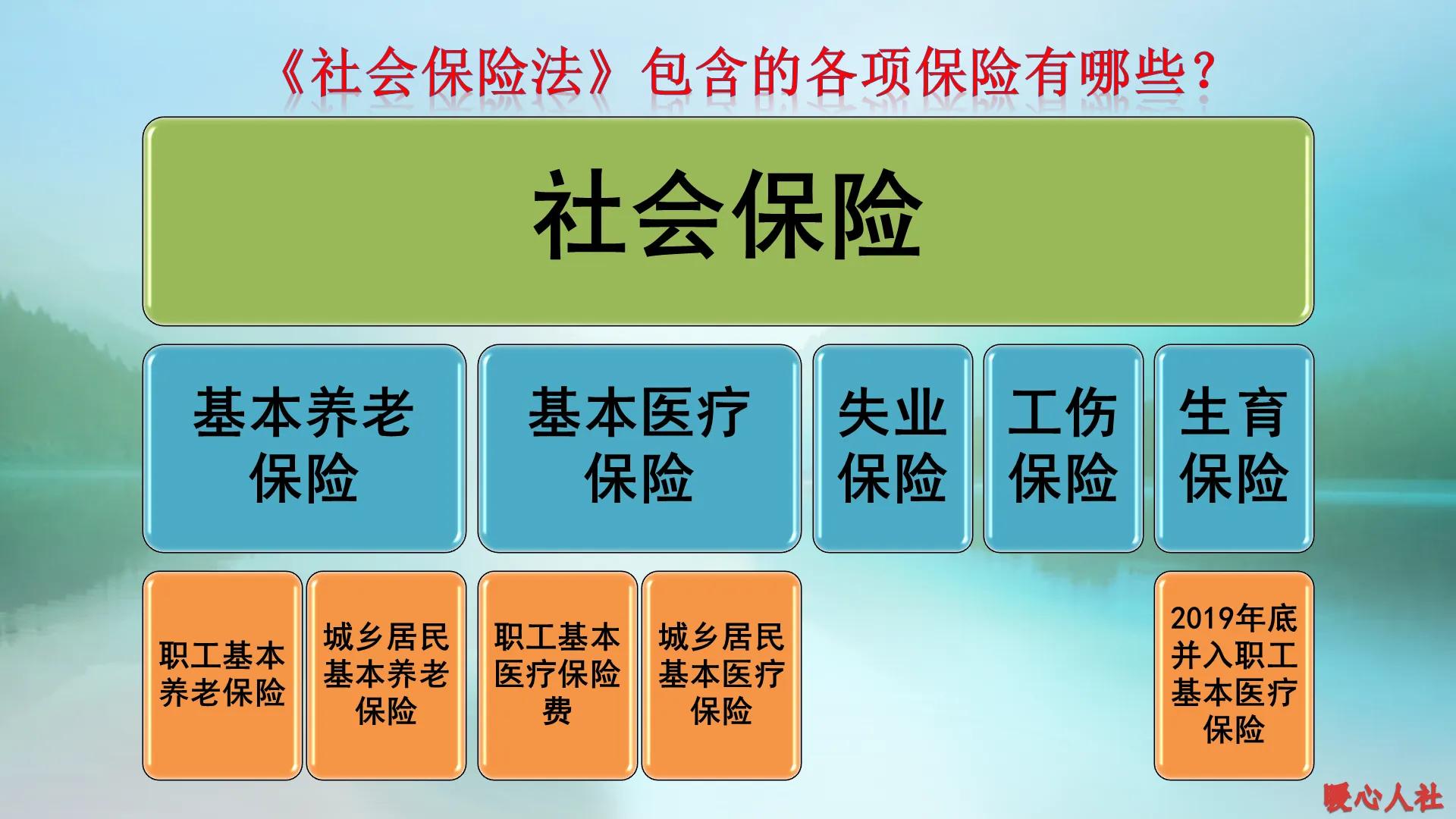 [持社保人数达13.9亿]公司给员工交社保的人数？