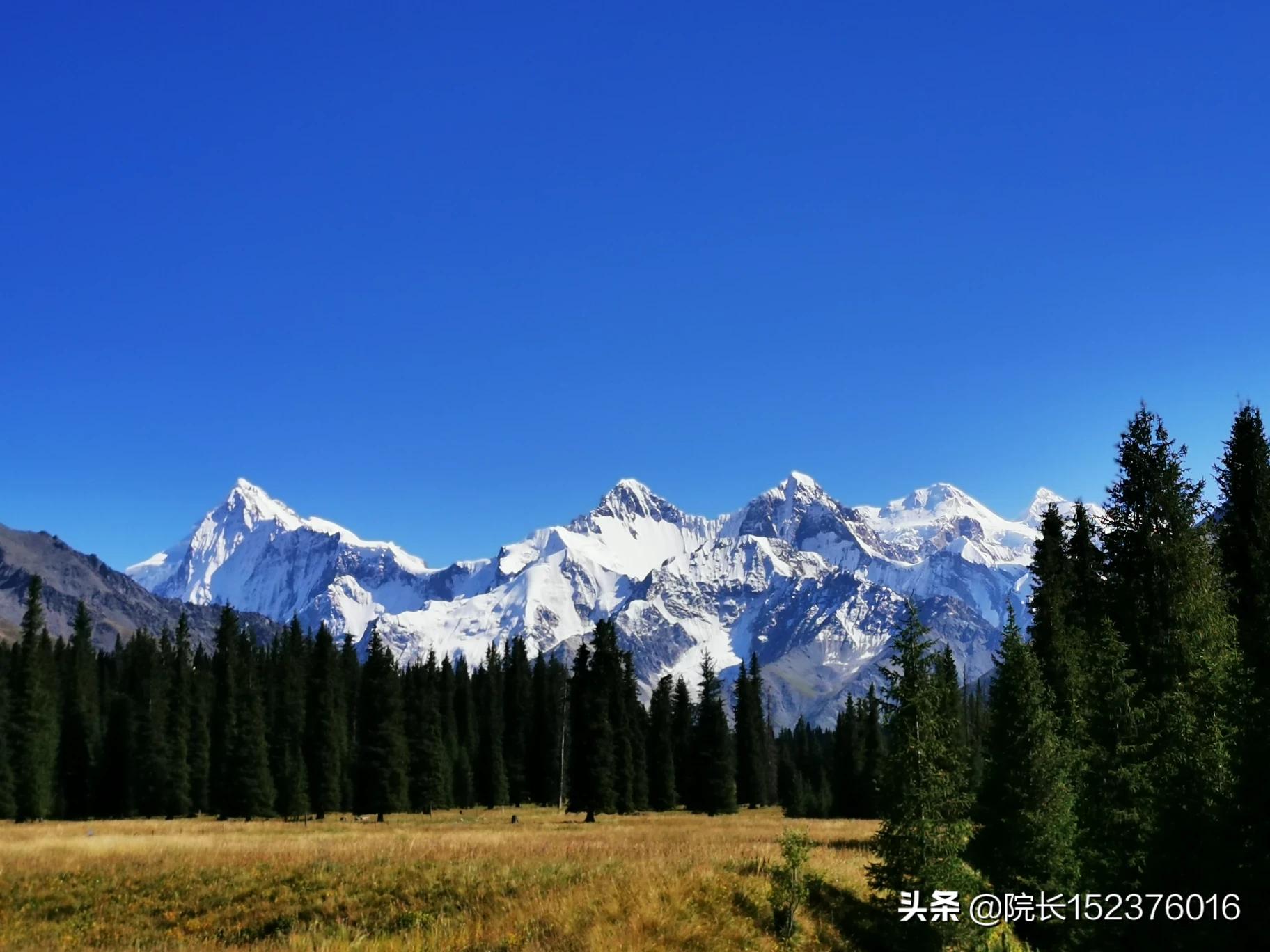 奔驰旅游