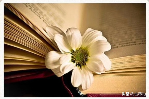 善于隐藏的人很可怕？：隐藏的人