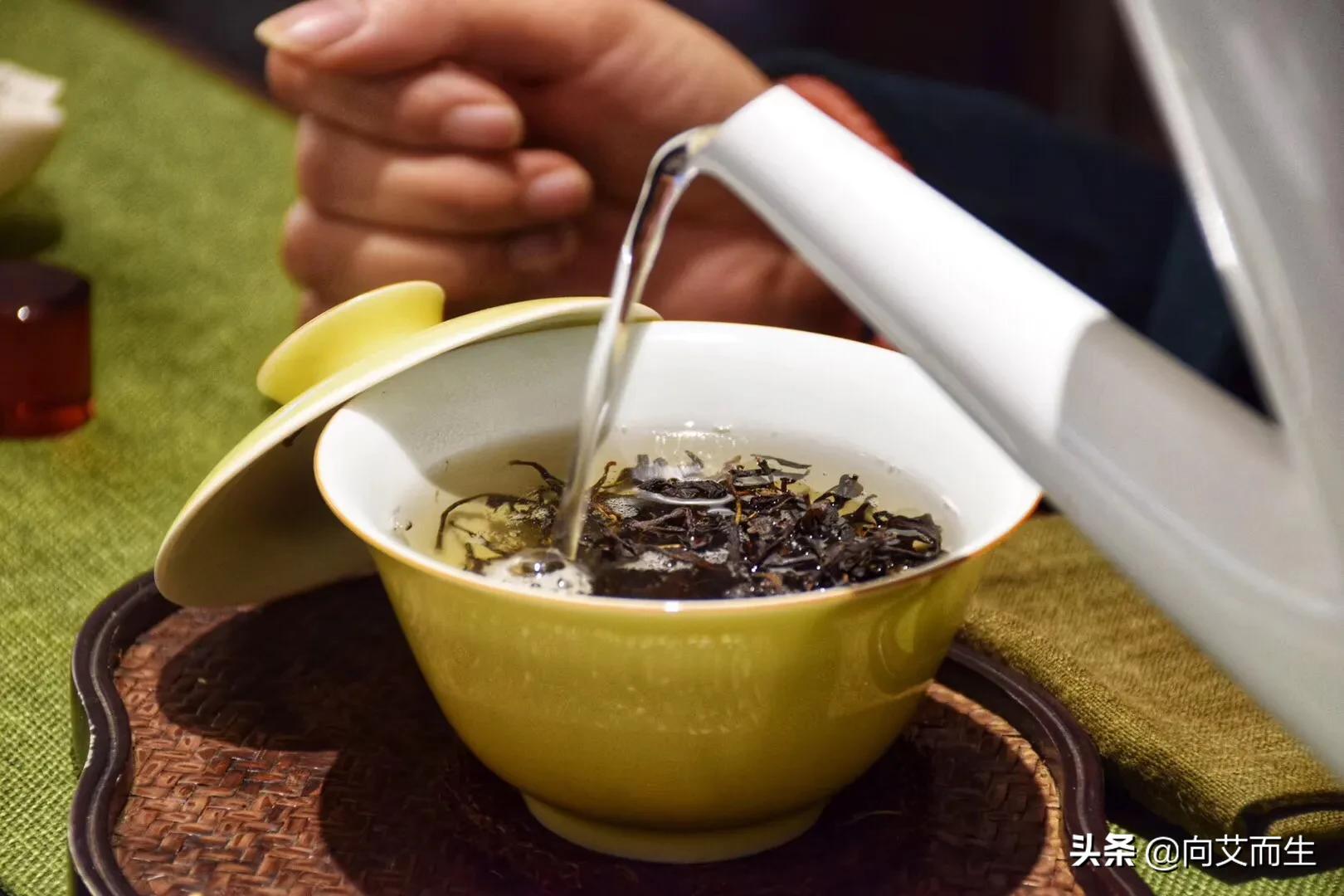 老白茶怎么泡（老白茶泡多久？）