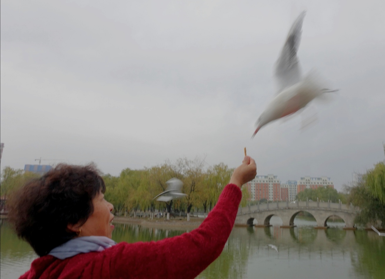 [索尼黑卡]索尼的黑卡，1和2哪个好？